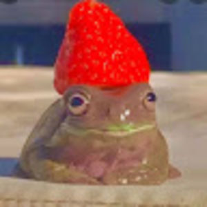 Meet your Posher, Cj